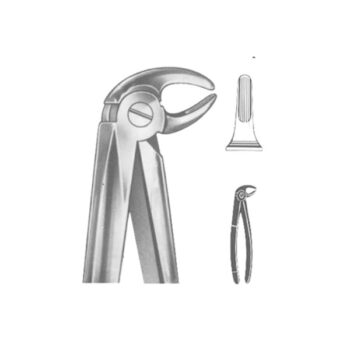 Extracting Forceps English Pattern