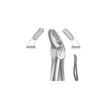 Extracting Forceps English Pattern