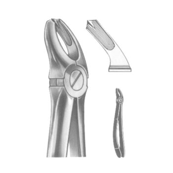 Extracting Forceps English Pattern