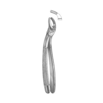 Extracting Forceps English Pattern
