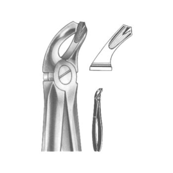 Extracting Forceps English Pattern
