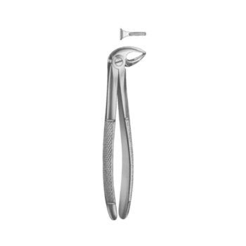 Extracting Forceps English Pattern