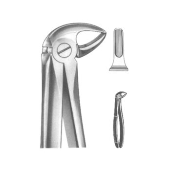 Extracting Forceps English Pattern