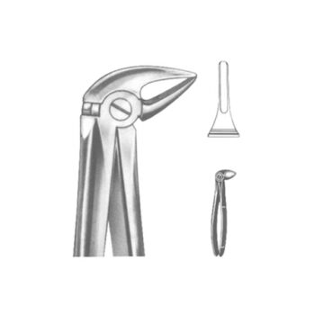 Extracting Forceps English Pattern