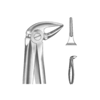 Extracting Forceps English Pattern