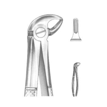 Extracting Forceps English Pattern