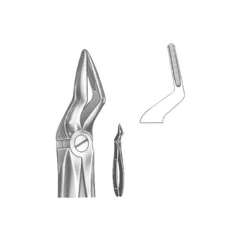 Extracting Forceps English Pattern