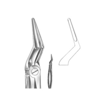 Extracting Forceps English Pattern