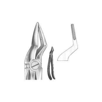 Extracting Forceps English Pattern