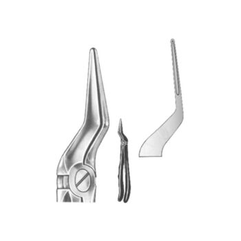 Extracting Forceps English Pattern