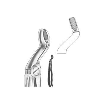 Extracting Forceps English Pattern