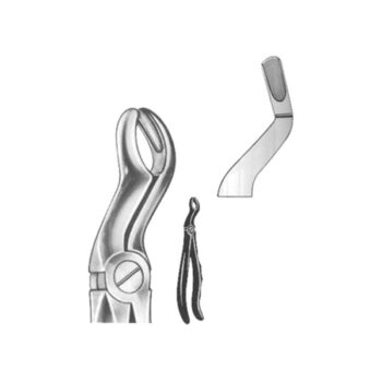 Extracting Forceps English Pattern