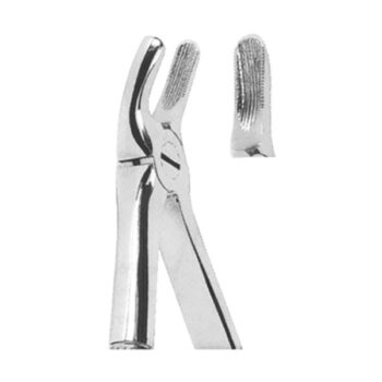 Extracting Forceps English Pattern