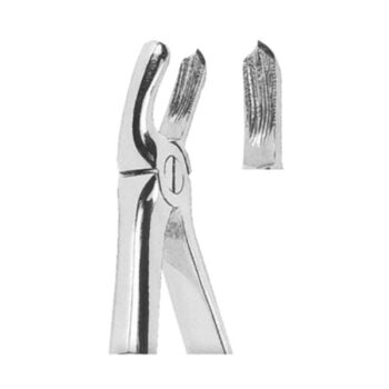 Extracting Forceps English Pattern