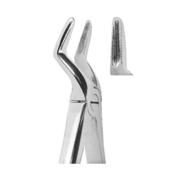 Extracting Forceps English Pattern