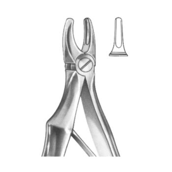 Extracting Forceps English Pattern