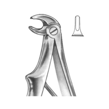 Extracting Forceps English Pattern