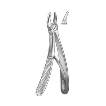 Extracting Forceps English Pattern