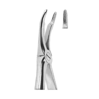 Extracting Forceps English Pattern