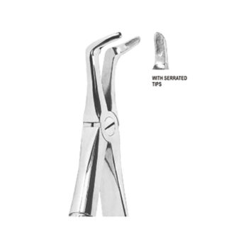 Extracting Forceps English Pattern