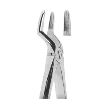 Extracting Forceps English Pattern