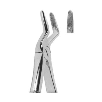 Extracting Forceps English Pattern