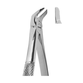 Extracting Forceps English Pattern