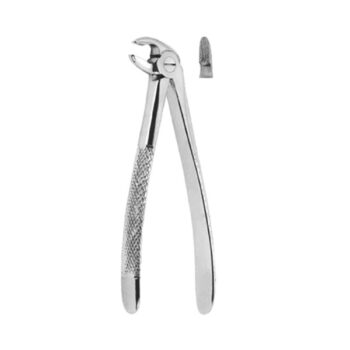 Extracting Forceps English Pattern