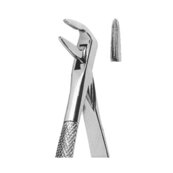 Extracting Forceps English Pattern