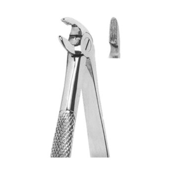 Extracting Forceps English Pattern