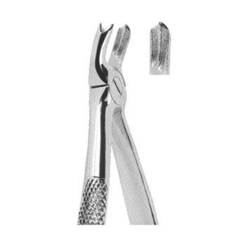 Extracting Forceps English Pattern