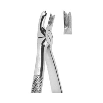Extracting Forceps English Pattern