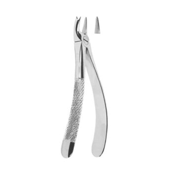 Extracting Forceps English Pattern