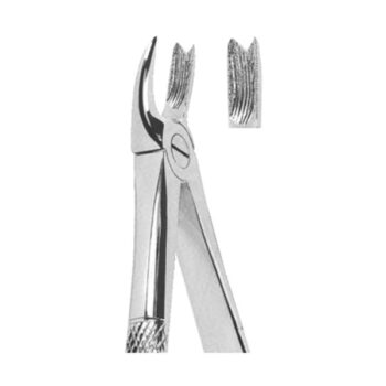 Extracting Forceps English Pattern