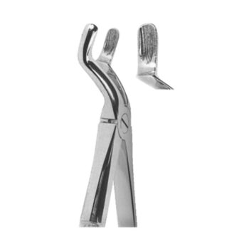 Extracting Forceps English Pattern