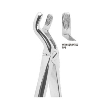 Extracting Forceps English Pattern