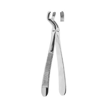 Extracting Forceps English Pattern