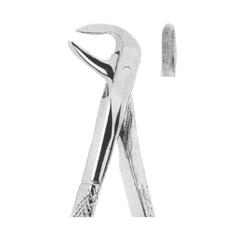Extracting Forceps English Pattern