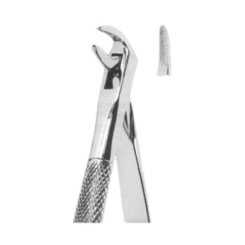 Extracting Forceps English Pattern