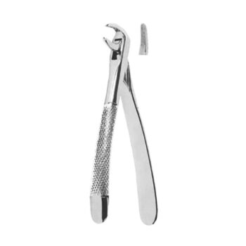 Extracting Forceps English Pattern