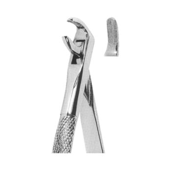 Extracting Forceps English Pattern