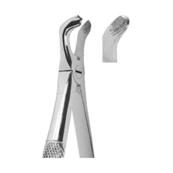 Extracting Forceps English Pattern