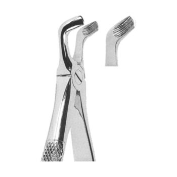 Extracting Forceps English Pattern