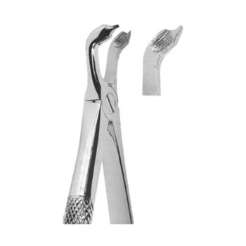 Extracting Forceps English Pattern