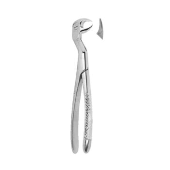 Extracting Forceps English Pattern