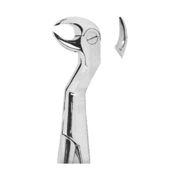 Extracting Forceps English Pattern