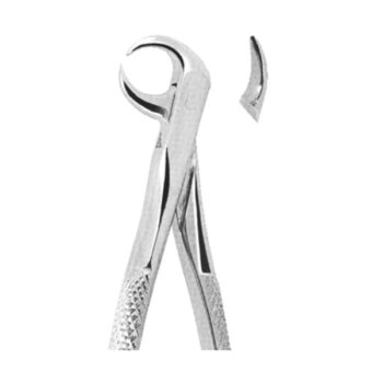 Extracting Forceps English Pattern
