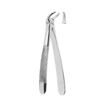 Extracting Forceps English Pattern