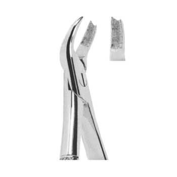 Extracting Forceps English Pattern