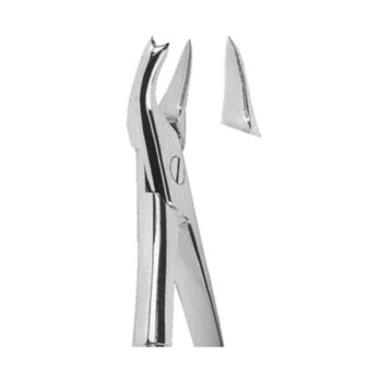 Extracting Forceps English Pattern